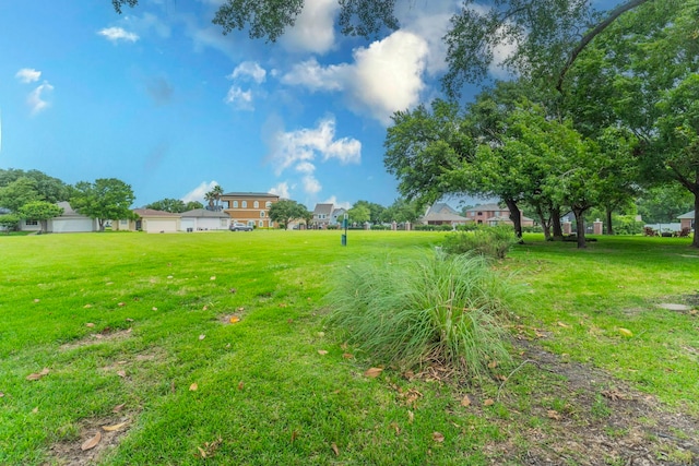 2304 Keel Ct, Willis, TX 77318 - view of yard