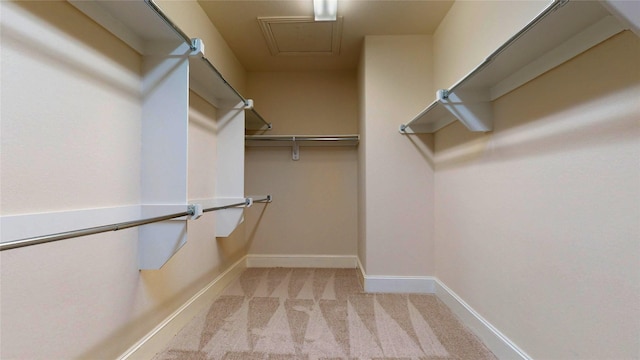 10255 S Goshawk Trl, Conroe, TX 77385 - walk in closet with carpet floors