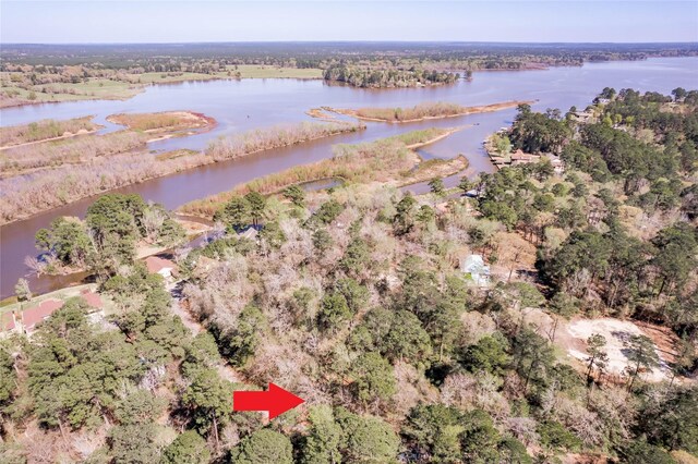 Lot5 Spreading Oak, Trinity, TX 75862 - photo 1