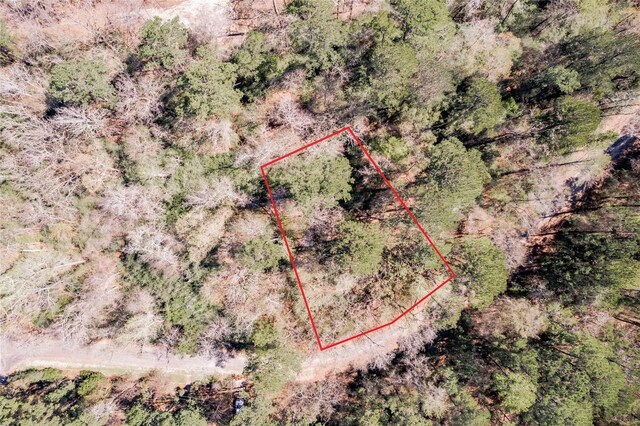Lot5 Spreading Oak, Trinity, TX 75862 - photo 2