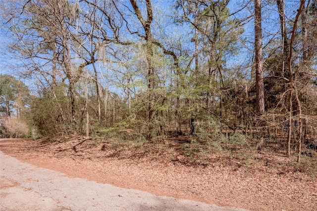 Lot5 Spreading Oak, Trinity, TX 75862 - photo 4