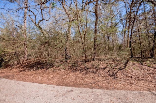 Lot5 Spreading Oak, Trinity, TX 75862 - photo 6