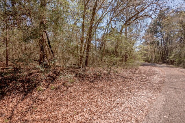 Lot5 Spreading Oak, Trinity, TX 75862 - photo 8
