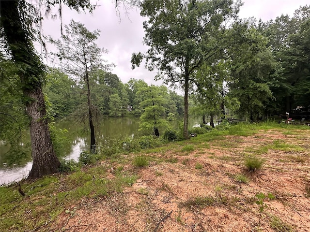 454 Lakeview Dr, Cleveland, TX 77327 - photo 1