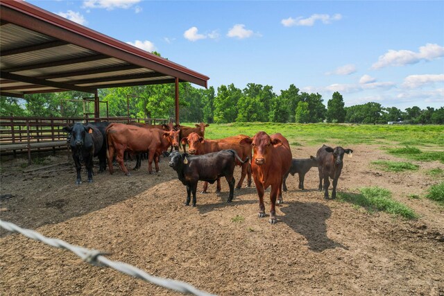 391 County Road 2010, Hardin, TX 77575 - photo 9