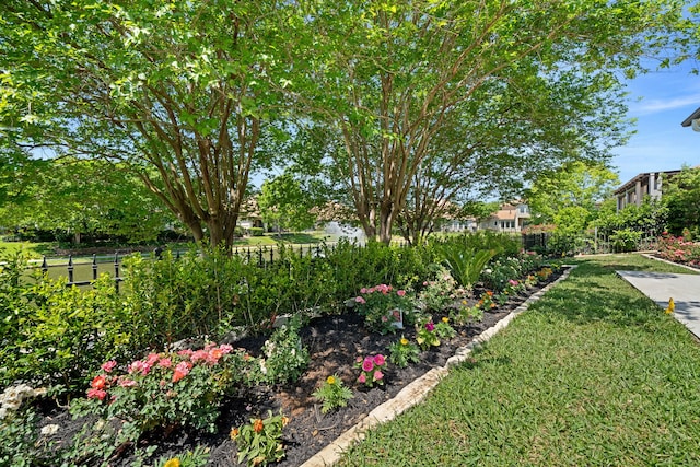 91 Lake Sterling Gate Dr, Spring, TX 77379 - view of yard