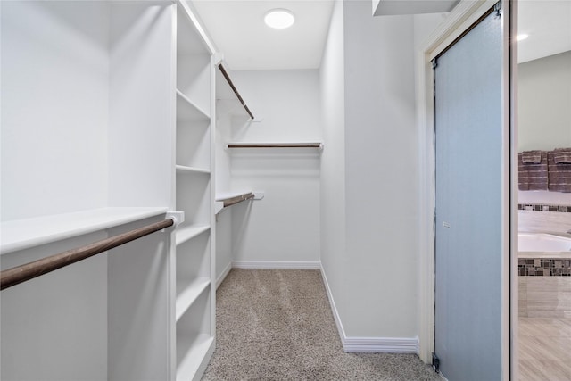 19203 Allview Ln, Houston, TX 77094 - walk in closet with carpet floors