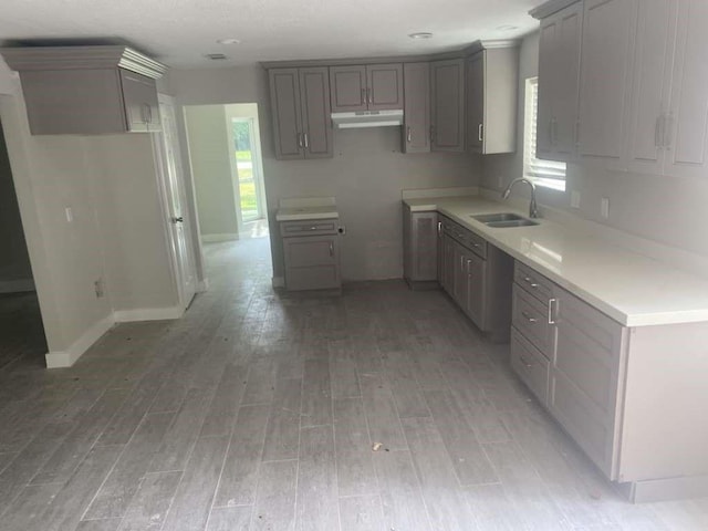 529 Brandon Rd, Conroe, TX 77302 - kitchen with a sink, under cabinet range hood, gray cabinetry, and plenty of natural light