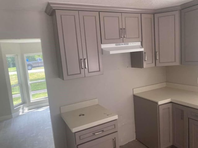 529 Brandon Rd, Conroe, TX 77302 - kitchen featuring gray cabinetry, under cabinet range hood, and light countertops