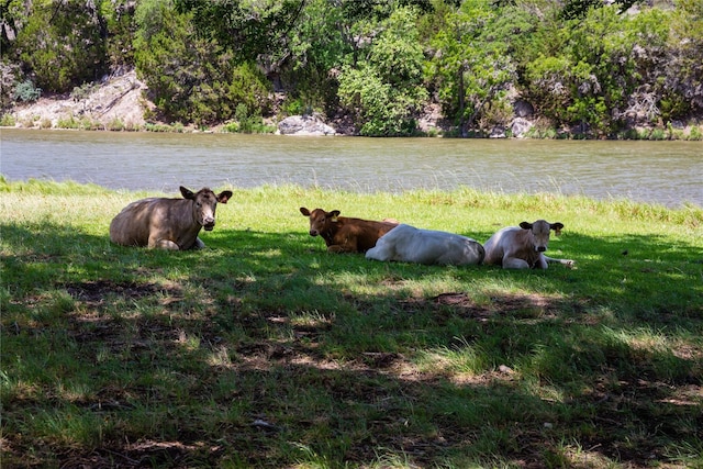 22 Indian Creek Loop, Kerrville, TX 78028 - view of yard featuring a water view