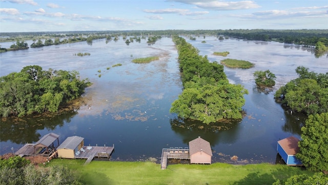 30523 Plantation Dr Unit 37, Damon, TX 77486 - aerial view of a nearby body of water