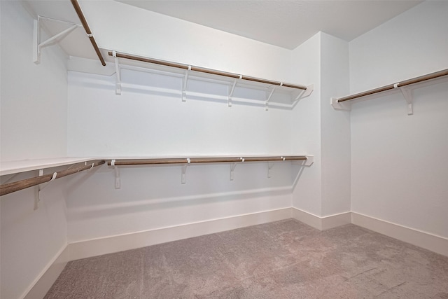 2022 Tarfite Pl, Houston, TX 77077 - walk in closet featuring carpet flooring