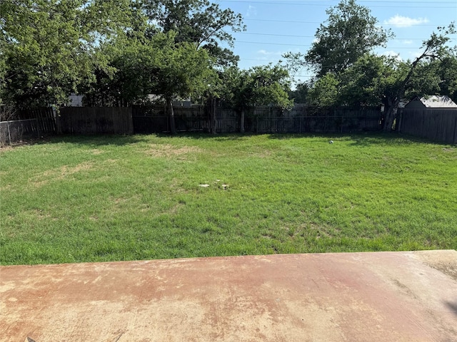445 W Vaughan St, Bertram, TX 78605 - view of yard