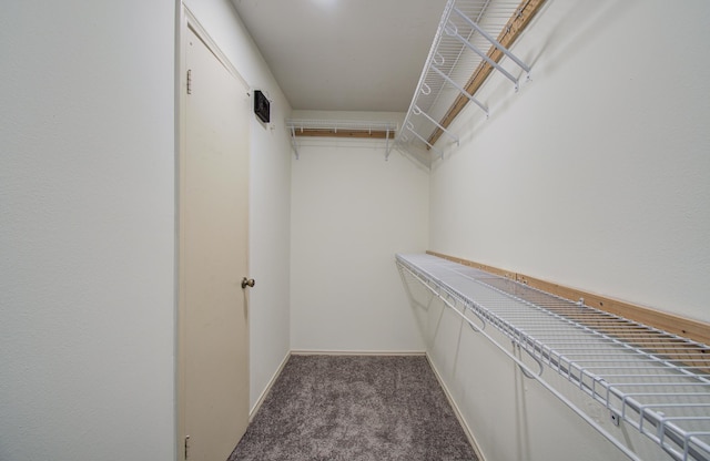 3359 Tenaha Dr, Houston, TX 77014 - walk in closet featuring carpet flooring