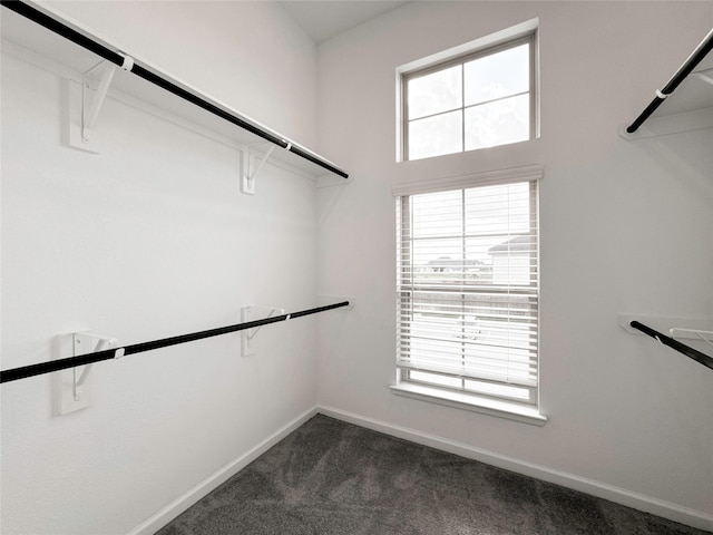 5667 Foggy Vine Ct, Fulshear, TX 77441 - walk in closet with dark colored carpet