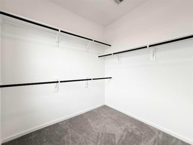 5667 Foggy Vine Ct, Fulshear, TX 77441 - spacious closet featuring carpet floors