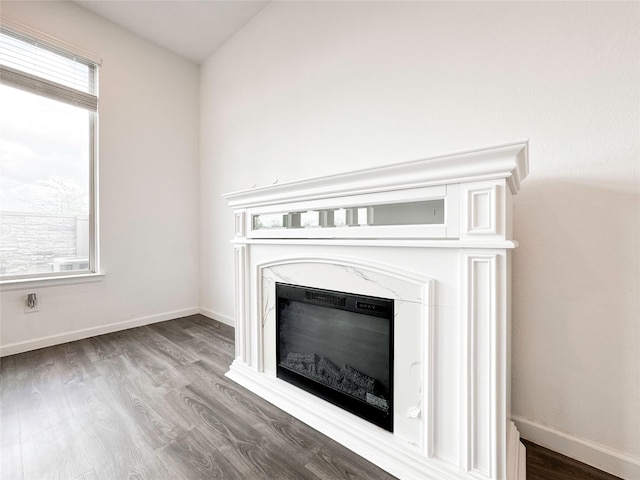 5667 Foggy Vine Ct, Fulshear, TX 77441 - detailed view of wood finished floors, a premium fireplace, and baseboards
