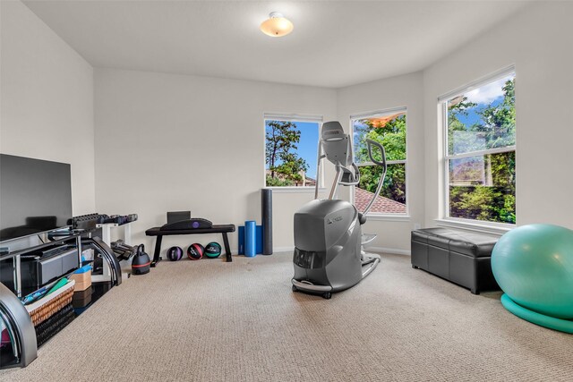 6406 Pine Reserve Dr, Spring, TX 77389 - workout area featuring plenty of natural light and carpet floors