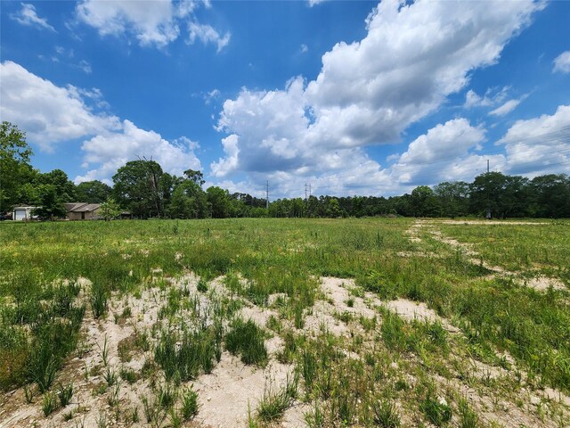 15029 Calhoun Rd, Conroe, TX 77302 - photo 2