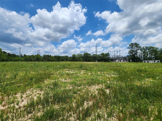 15029 Calhoun Rd, Conroe, TX 77302 - photo 3