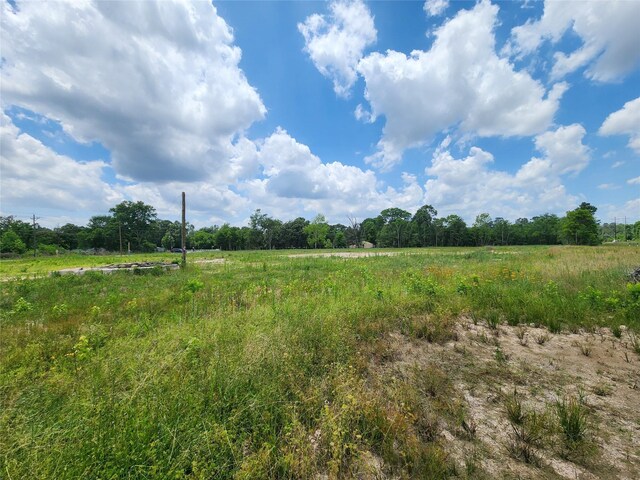15029 Calhoun Rd, Conroe, TX 77302 - photo 10