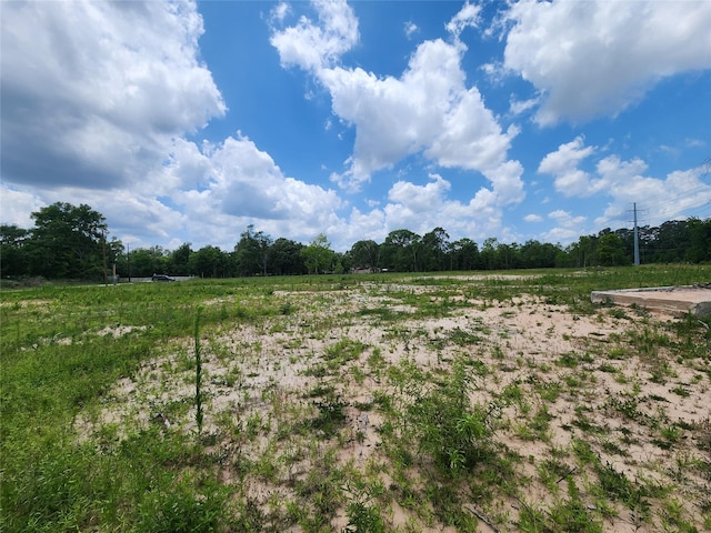 15029 Calhoun Rd, Conroe, TX 77302 - photo 11
