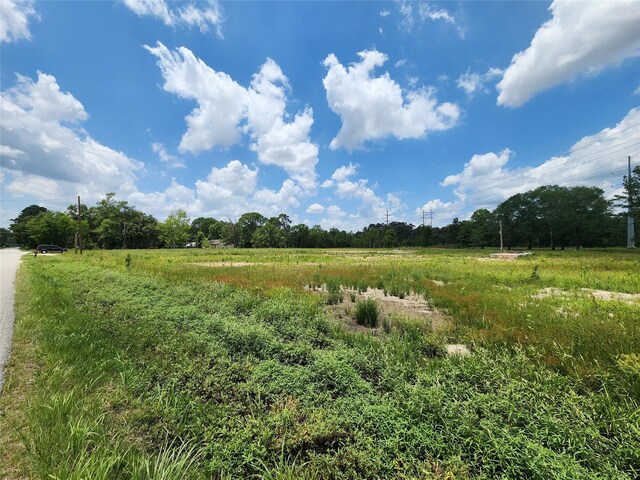 15029 Calhoun Rd, Conroe, TX 77302 - photo 14