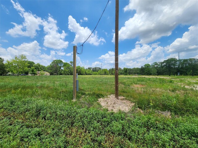 15029 Calhoun Rd, Conroe, TX 77302 - photo 16