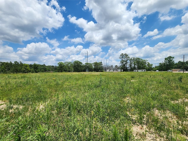 15029 Calhoun Rd, Conroe, TX 77302 - photo 4