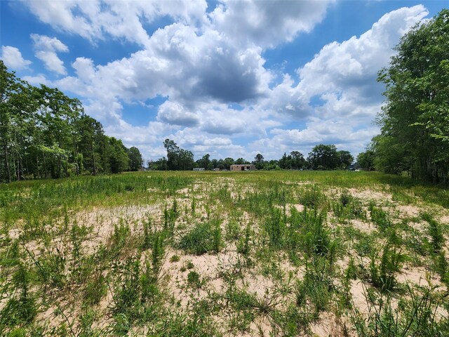 15029 Calhoun Rd, Conroe, TX 77302 - photo 5