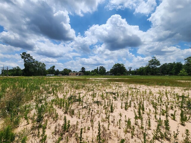 15029 Calhoun Rd, Conroe, TX 77302 - photo 6