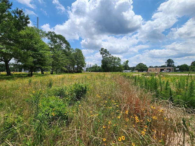 15029 Calhoun Rd, Conroe, TX 77302 - photo 7
