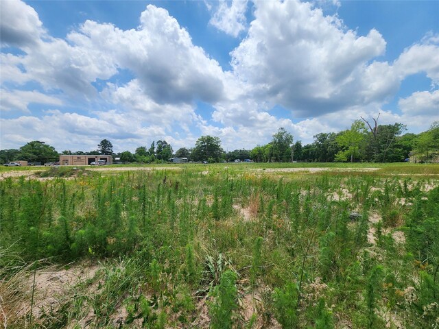 15029 Calhoun Rd, Conroe, TX 77302 - photo 8