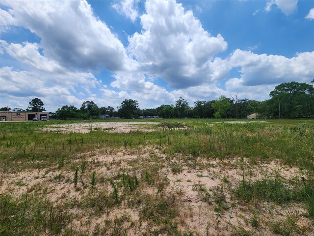 15029 Calhoun Rd, Conroe, TX 77302 - photo 9