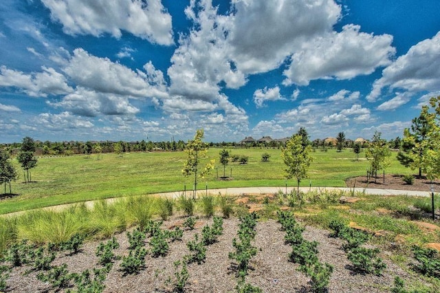 12522 Nueces River Dr, Cypress, TX 77433 - view of yard