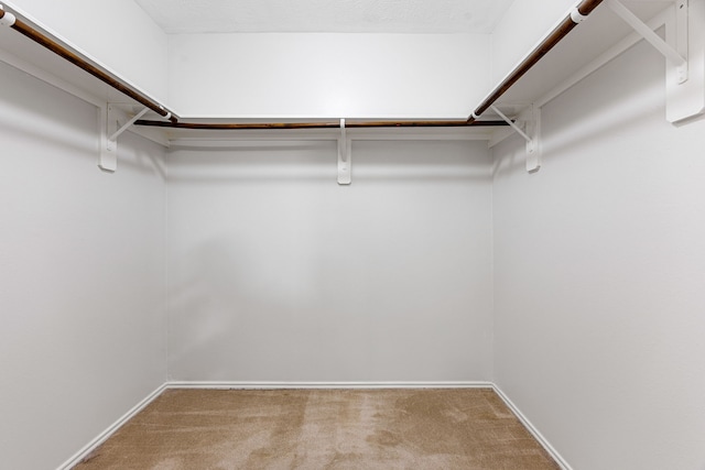 19130 Yaupon Ranch Dr, Cypress, TX 77433 - spacious closet featuring carpet
