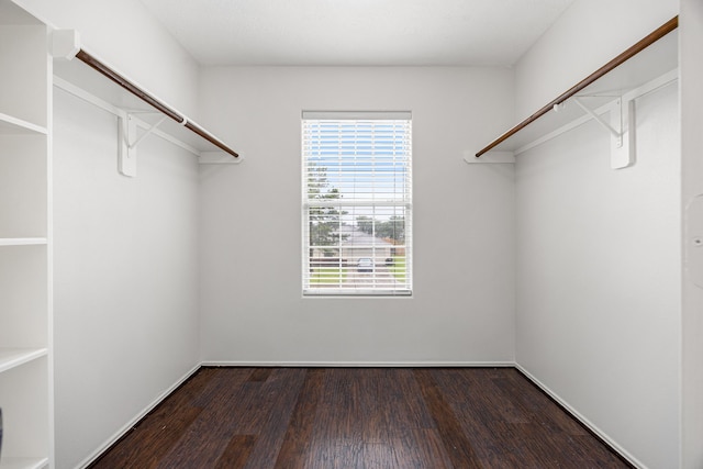 19130 Yaupon Ranch Dr, Cypress, TX 77433 - walk in closet with wood finished floors