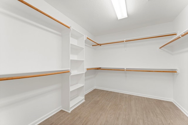 235 Doncaster St, Conroe, TX 77303 - walk in closet with wood finished floors