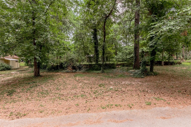 THB Hilltop Dr, Huntsville, TX 77340