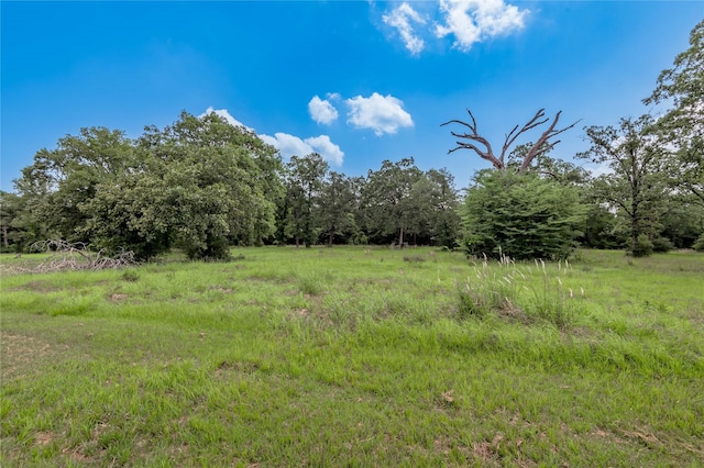 LOT11 Tara Dr, Trinity, TX 75862
