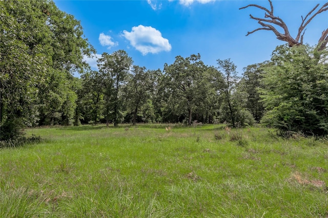 LOT11 Tara Dr, Trinity, TX 75862