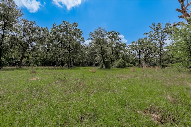 LOT11 Tara Dr, Trinity, TX 75862