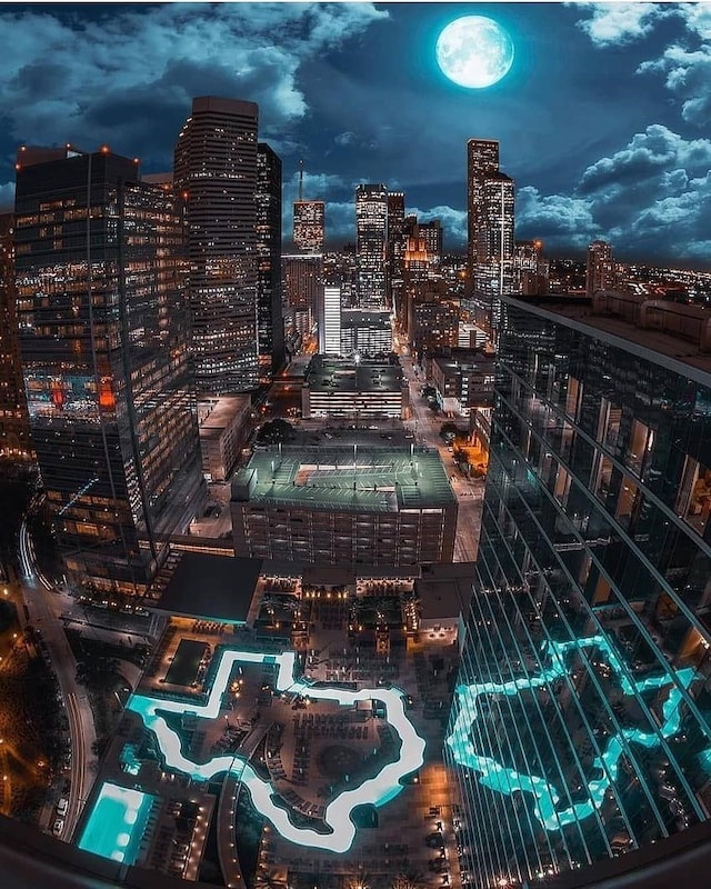 1205 Autrey St Unit 11, Houston, TX 77006 - city view with a view of city lights