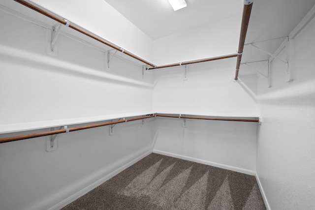 18719 Big Elm Dr, Cypress, TX 77433 - spacious closet with dark colored carpet