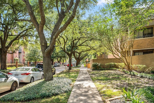 5200 Weslayan St Unit 309, Houston, TX 77005 - view of home's community