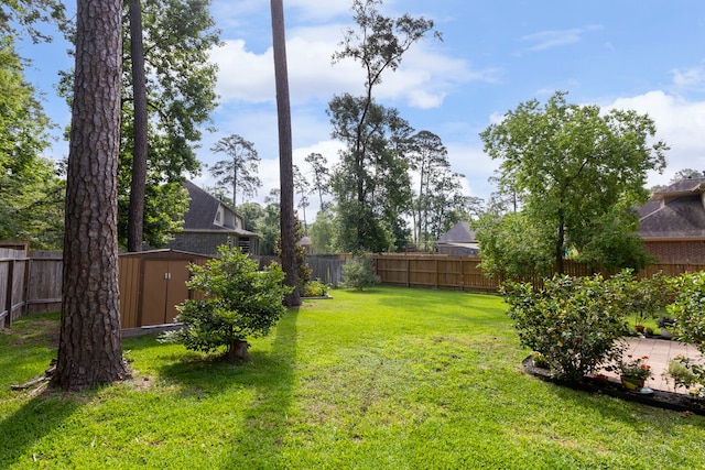 813 Woodland Ct, Conroe, TX 77302 - view of yard
