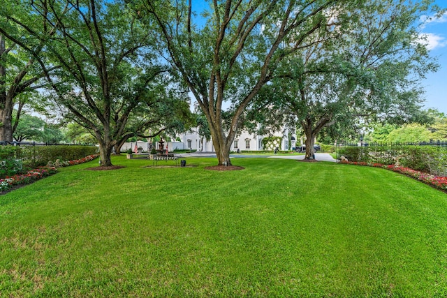 1561 Kirby Dr, Houston, TX 77019 - view of green lawn