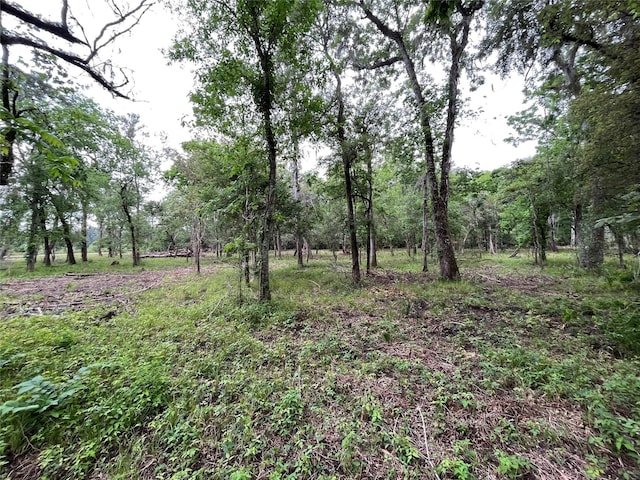2872 Brazoria County Rd, Angleton, TX 77515