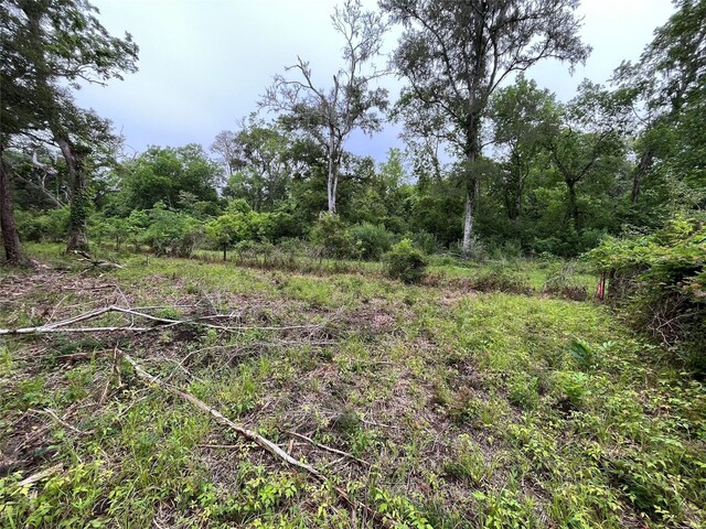 2872 Brazoria County Rd, Angleton, TX 77515