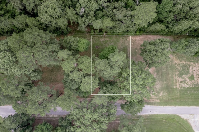 LOT38 Peach Point Ln, Trinity, TX 75862